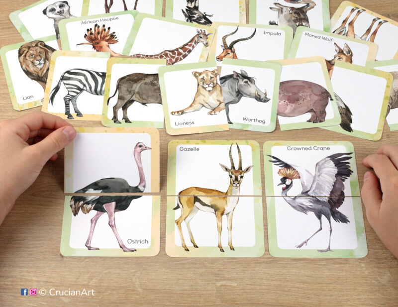Printable set of African savanna picture puzzles for preschool teachers. Watercolor puzzle pairs with images of an ostrich, gazelle, and crowned crane.