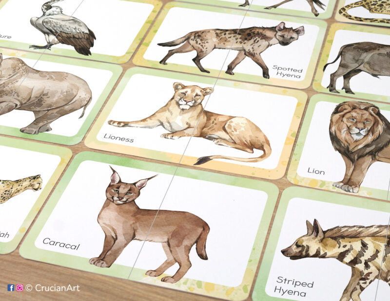 Set of printed savanna animals theme picture puzzles with watercolor illustrations of caracal, lion, lioness, spotted hyena, striped hyena.