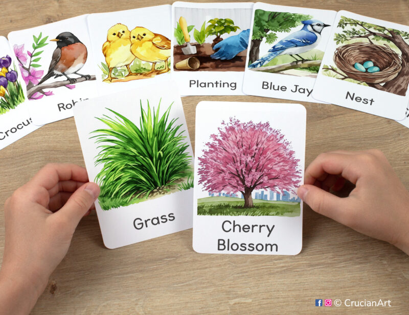 Spring season themed watercolor illustrations of Cherry Blossom and Green Grass flashcards in kindergartener hands