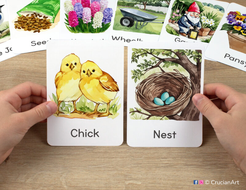 Preschooler hands holding spring-themed flashcards with watercolor images of a nest with blue eggs and two yellow baby chicks.
