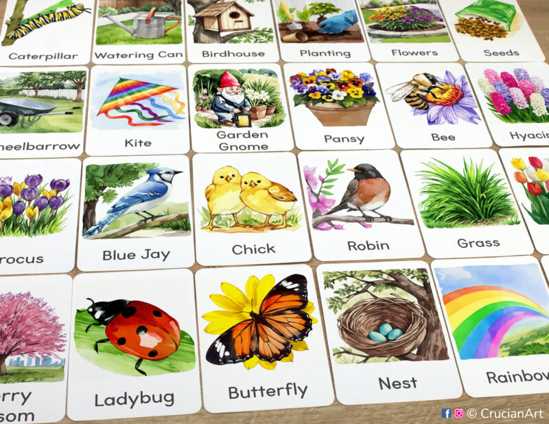 Set of Spring Season flashcards laid out on the table for learning activity: Monarch Butterfly, Ladybug, Honey Bee, Birdhouse, Nest, Robin, Blue Jay, Chicks, Kite, Rainbow, Planting, Watering Can, Seeds, Grass, Flowers, Crocus, Pansy, Garden Gnome.