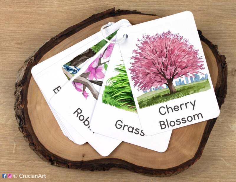 Set of Sping Season flashcards kept together on a ring for on-the-go learning