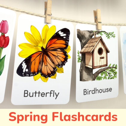 Monarch Butterfly and Birdhouse flashcards hanging on twine with small wooden clothespins. Spring curriculum classroom resources.