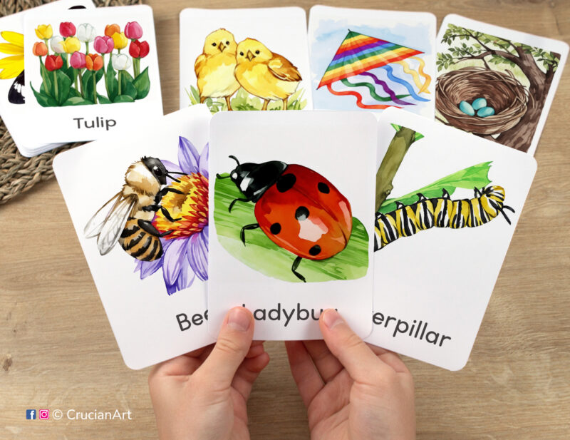 Spring Season flashcards featuring watercolor illustrations of a Ladybug, a Monarch Caterpillar, and a Honey Bee in toddler hands