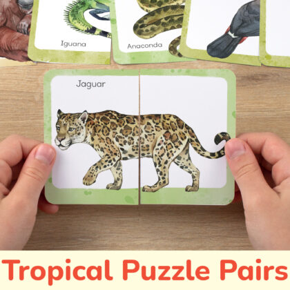 Tropical rainforest animals theme picture puzzles for toddler and preschool education. DIY resources for classroom learning.