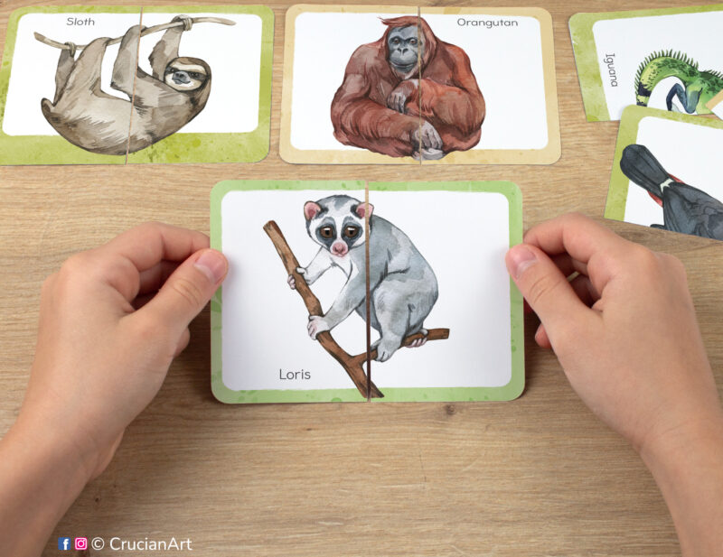 Loris, sloth, orangutan watercolor picture puzzle. Tropical rainforest animals puzzles and problem-solving play for preschool classrooms. Fine motor skills development for three year olds.