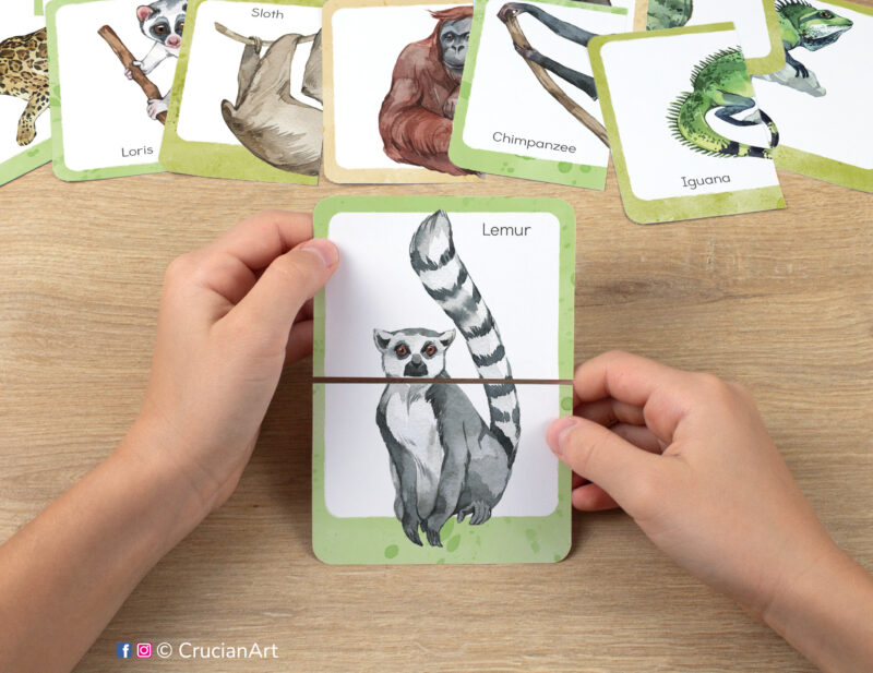 Tropical rainforest animals: lemur, iguana, orangutan, loris. Kids watercolor picture puzzle in use. Montessori printables for two year olds.