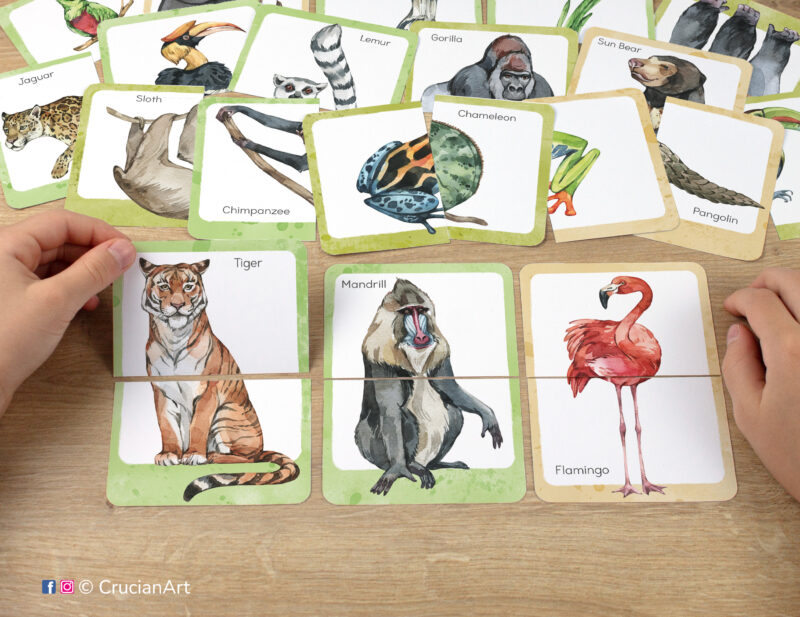 Tropical rainforest animals theme picture puzzles for preschool teachers. Watercolor puzzle pairs with images of jungle creatures: tiger, mandrill, flamingo, lemur, gorilla, sun bear, jaguar.