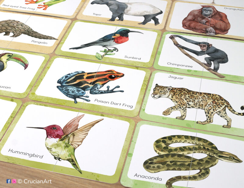 Set of printed tropical rainforest animals theme picture puzzles with watercolor illustrations of jungle creatures: jaguar, poison dart frog, chimpanzee, orangutan, hummingbird, anaconda, sunbird, tapir.