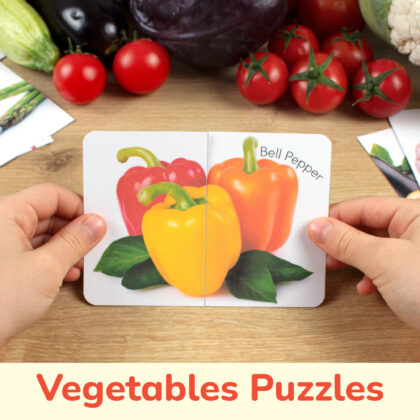 Vegetables real photo puzzles for preschool education. Summer season and autumn harvest theme matching cards for toddler learning.
