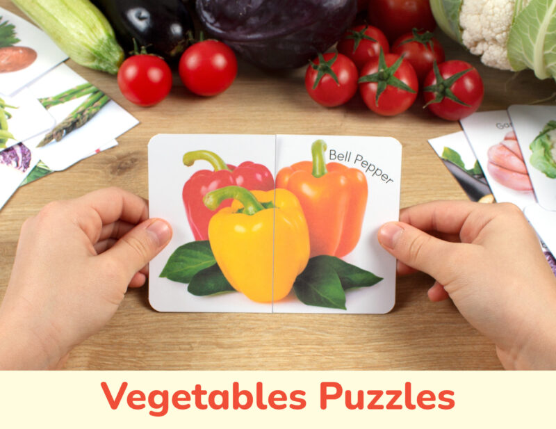 Vegetables real photo puzzles for preschool education. Summer season and autumn harvest theme matching cards for toddler learning.