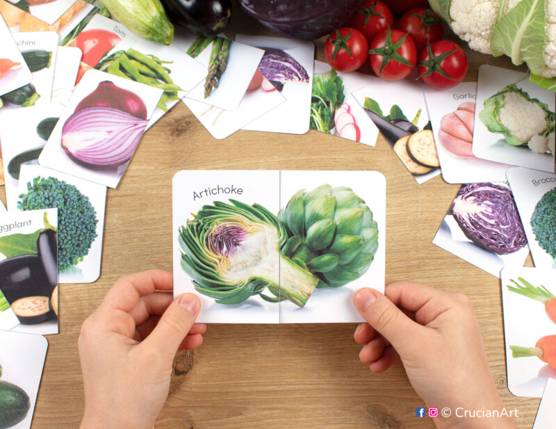 Artichoke real photo picture puzzle for healthy food theme. Vegetables puzzles play for preschool classrooms. Fine motor skills development for three year olds.