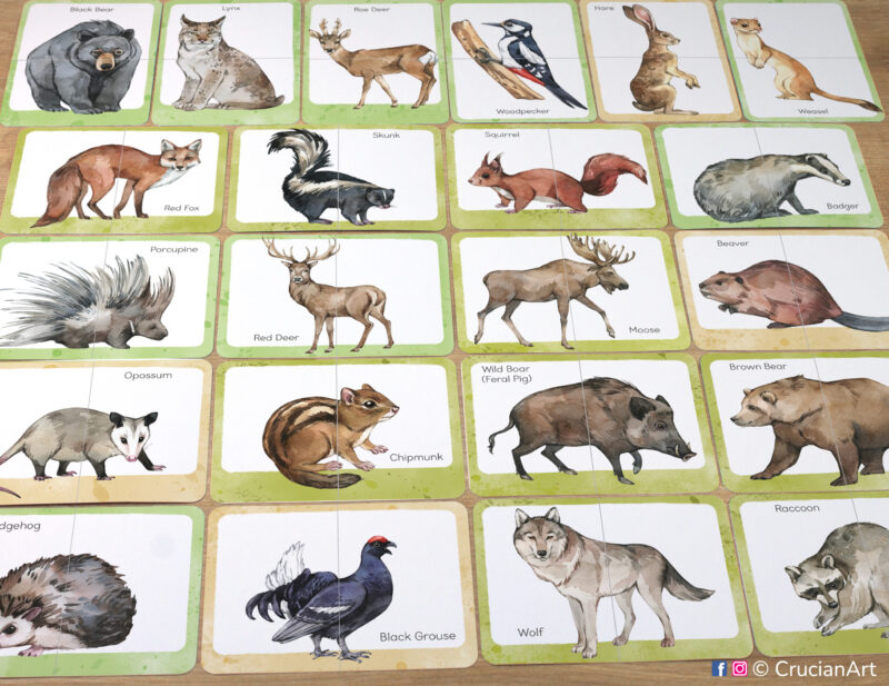 Set of woodland animals puzzle pairs to print for classroom activity. Forest animals theme watercolor picture puzzles: brown bear, red fox, skunk, chipmunk, opossum, squirrel, moose, red deer, porcupine, wolf, hedgehog, wild pig, black grouse, beaver, badger, black bear, lynx, hare, weasel, woodpecker, roe deer, raccoon. DIY toddler and preschool matching game.