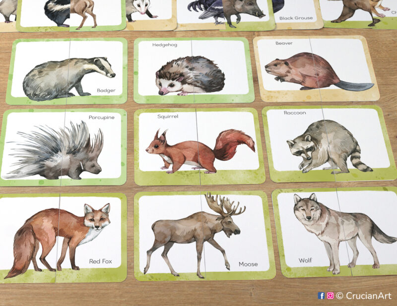 Woodland animals picture puzzles: red fox, gray wolf, moose, squirrel, hedgehog, racoon, beaver, porcupine, badger. Match the puzzle halves printable game for early learning. Forest animals theme visual discrimination cards for toddler.
