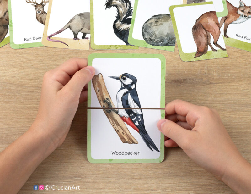 Woodpecker watercolor picture puzzle. Forest and woodland animals theme puzzles play for preschool classrooms. Fine motor skills development for three year olds.