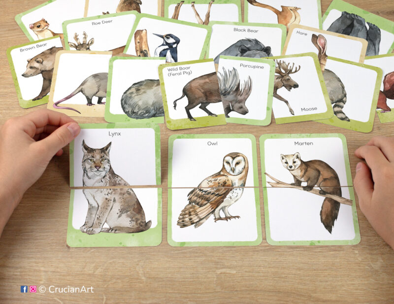 Woodland animals theme printable set of picture puzzles for preschool teachers. Watercolor puzzle pairs with images of an owl, lynx, marten, moose, brown bear, black bear, porcupine.