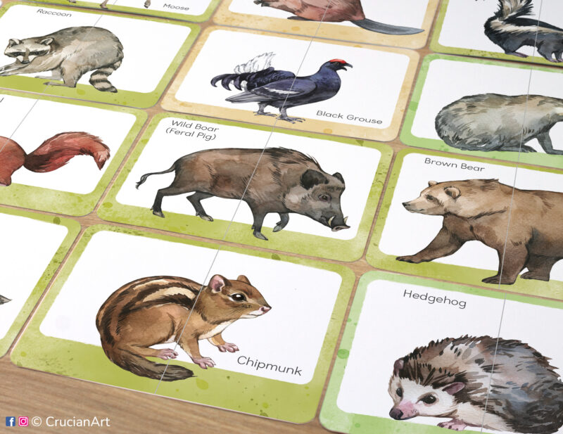 Set of printed forest and woodland animals theme two part puzzles with watercolor illustrations of chipmunk, brown bear, hedgehog, wild pig, racoon, black grouse.