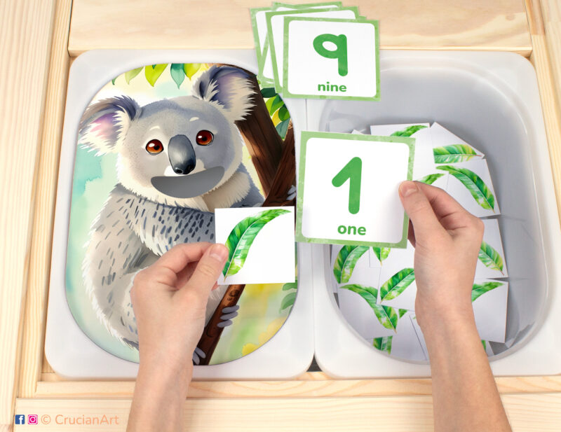 Feed the koala eucalyptus leaves flisat insert resource in a Montessori preschool: early math counting activity placed on an ikea children's sensory table. Australian animals theme play for kids sensory table insert.