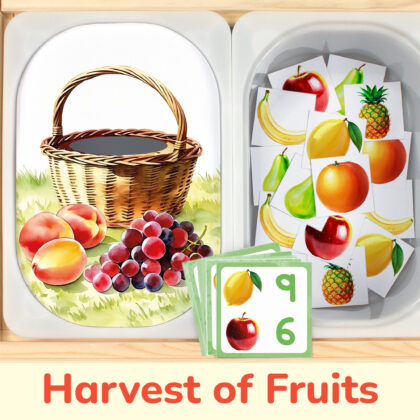 Fruit harvest counting activity placed on trofast boxes in ikea flisat children's sensory table. Printable toddler activity for summer fruits study unit.