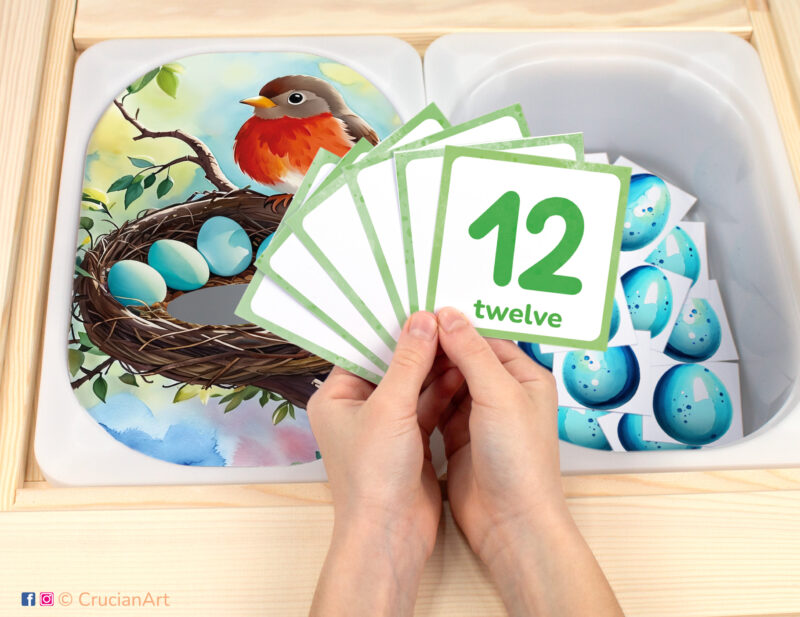 Robin bird eggs in nest pretend play setup. Sensory table insert and kids hands holding task cards displaying numerals from 1 to 12. Printable activity for American backyard birds curriculum.