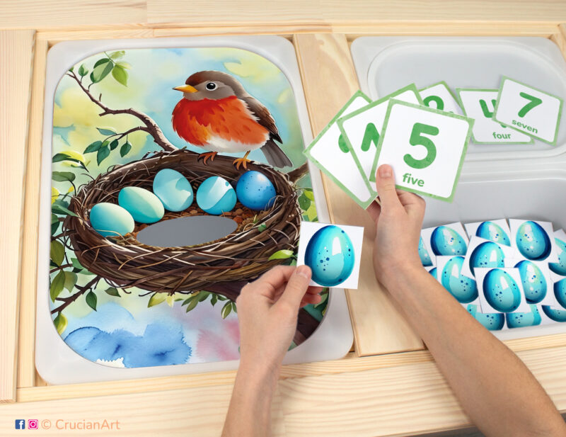 Eggs in nest sensory bins play for toddlers: American Robin bird theme worksheet for an educational activity. DIY template inserted into ikea flisat table, with counters placed in the trofast bin.