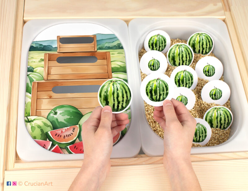 Printable summertime template inserted into IKEA flisat table bins. Watermelon size sorting activity for toddlers.