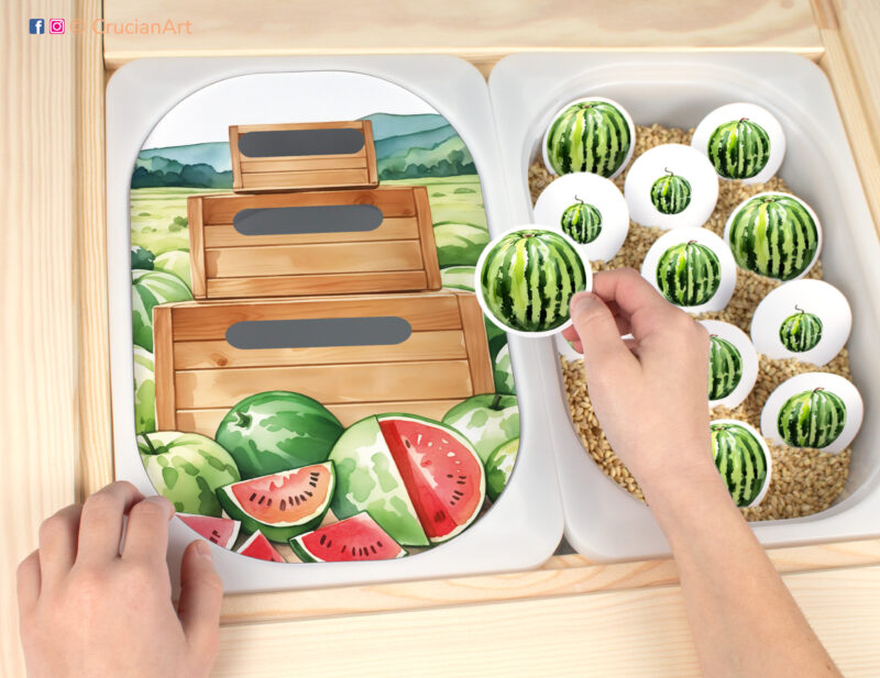 Watermelon size sorting sensory play for a daycare center. Printable template for ikea flisat table bins for kids. Classroom educational printables for a summer harvest unit.