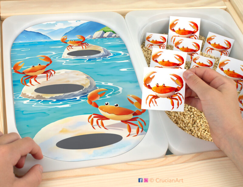 Crab size sorting sensory play for a daycare center. Printable template for ikea flisat table bins for kids. Classroom educational printables for an ocean unit.