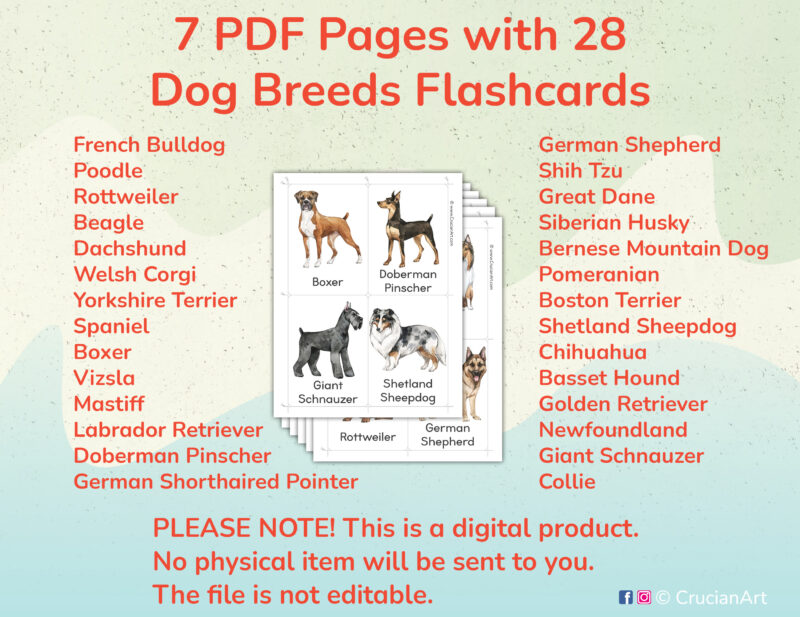 Printable dog breeds flashcards for preschool and kindergarten hanging classroom wall art