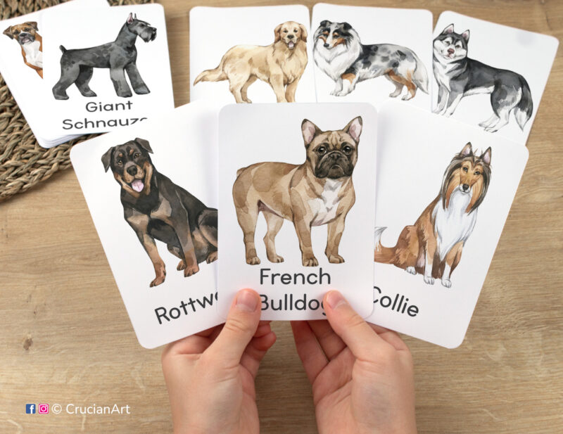 Dog breeds theme flashcards for kids featuring watercolor illustrations of a French Bulldog, Collie, and Rottweiler in toddler hands.