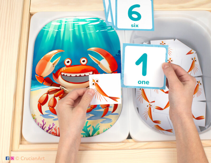 Feed the crab plankton flisat insert resource in a Montessori preschool: early math counting activity placed on an ikea children's sensory table. Ocean animals theme play for kids sensory table insert.