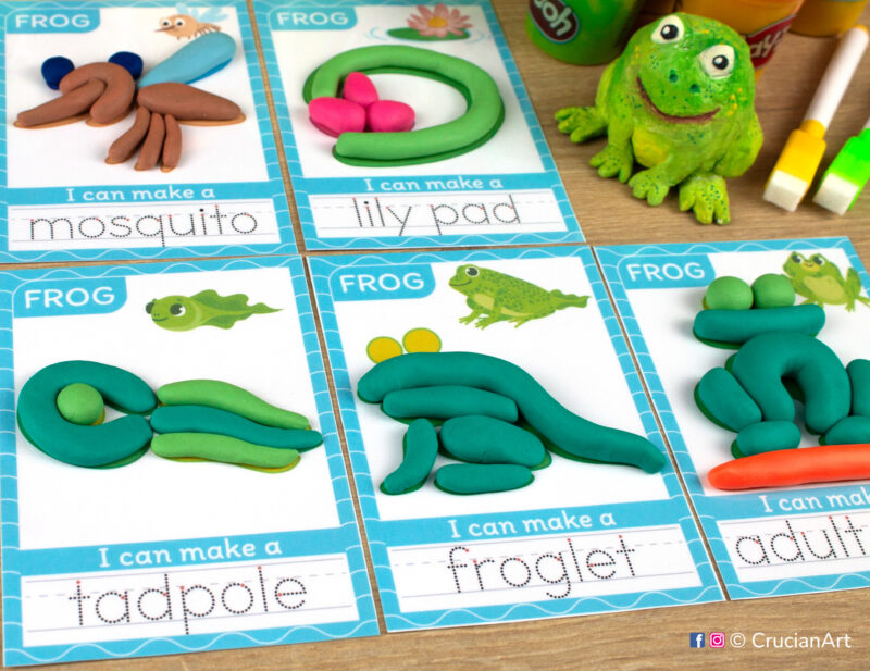 Pond life playdough mats for preschool spring nature unit. Play-doh mats with a tadpole, froglet, frog and mosquito.