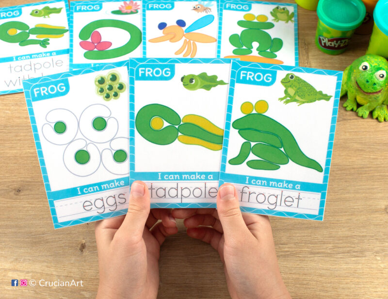 Life cycle of a frog printable playdough materials for preschool teachers. Spring activity for Play-Doh with images of eggs, tadpole and froglet. Nature unit printables.