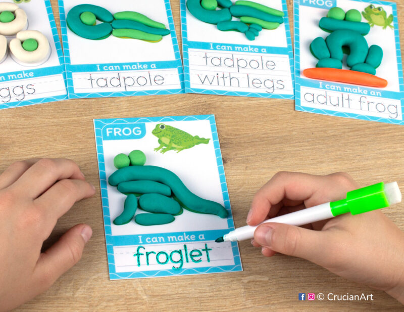 Printable pond life theme playdough mats. Spring season play dough mat with an illustration of a life cycle of a frog. Do-it-yourself language learning educational resources for childcare centers.