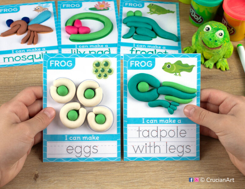 Frog life cycle theme hands-on play-doh activities for preschool and toddler spring nature curriculum. Preschooler holds two playdough mats with images of eggs and a tadpole with legs.