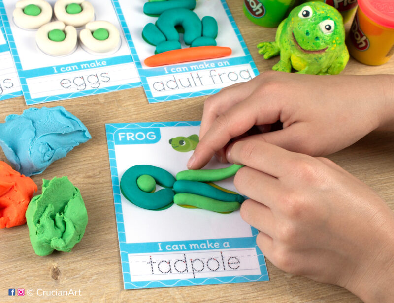 A preschooler is playing with play-doh, molding a tadpole. Frog life cycle unit playdough mats for toddlers fine motor skill development.