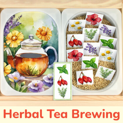 Herbal tea brewing matching activity for kids. Printable insert placed on Trofast sensory bins in IKEA Fflisat children's sensory table.