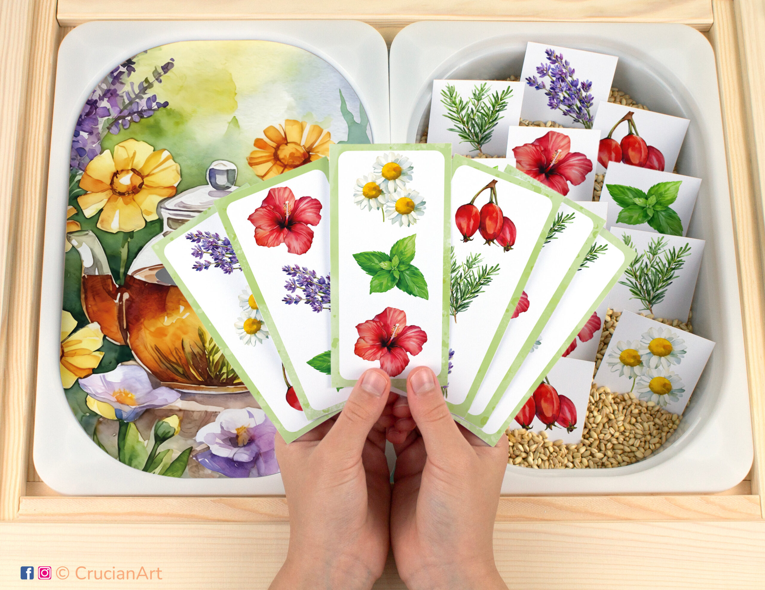 Herb Tea Making pretend play setup for a matching game. Kids' hands holding task cards displaying chamomile, peppermint, lavender, hibiscus, rosemary, and rose hip. Summer season printables for toddler.