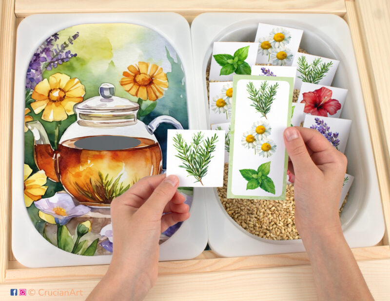 Let's make herbal tea with chamomile, peppermint, lavender, hibiscus, rosemary, rose hip herbs Flisat insert printable resource. Preschool matching activity template on an IKEA children's sensory table.