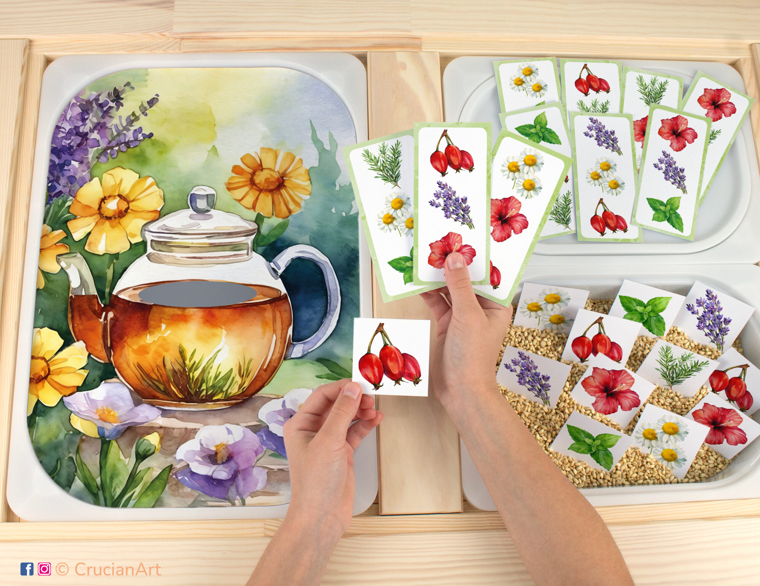 Making herbal tea activity for toddler matching play. Printable educational template for flisat sensory table. Pieces with chamomile, peppermint, lavender, hibiscus, rosemary, rose hip herbs placed in the Trofast bin.