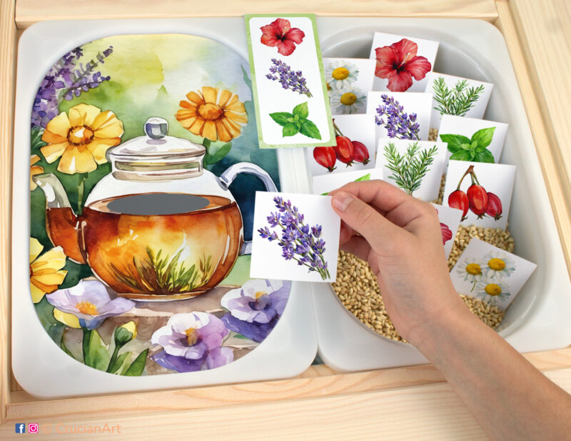 Herbal Tea Brewing pretend play for toddlers and preschoolers: sorting chamomile, peppermint, lavender, hibiscus, rosemary, and rose hip. Visual discrimination printable learning activity for sensory table bins.
