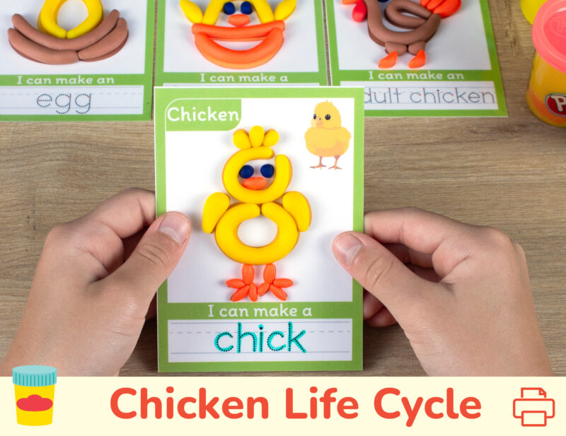 Printable playdough mats for preschool spring season curriculum. Chicken life cycle themed play doh mat with tracing word.