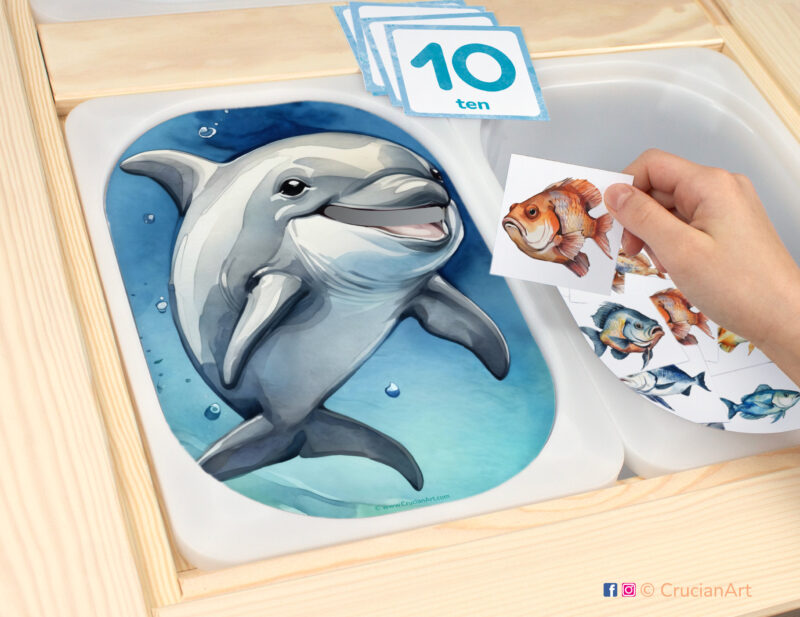 Feed the Dolphin fish count sensory play in a childcare center: classroom learning printable materials for ocean animals unit. Counting trofast insert template for kids sensory bins. Printables for the ikea flisat sensory table.