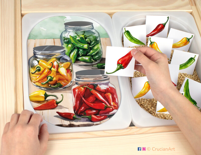 Hot peppers color sorting sensory play for a daycare center. Printable template for ikea flisat table bins for kids. Classroom educational printables for a healthy food unit.