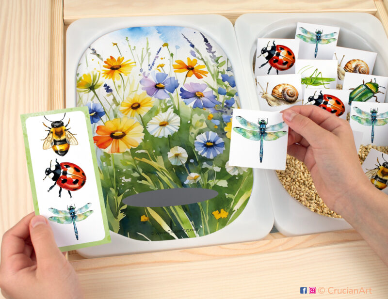 Meadow Insects matching activity for toddlers: grasshopper, snail, ladybug, dragonfly, honeybee, and June beetle. Printable template for flisat sensory table for children.