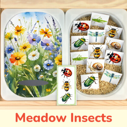 Insects in the meadow matching activity for kids. Printable insert placed on Trofast sensory bins in IKEA Fflisat children's sensory table.