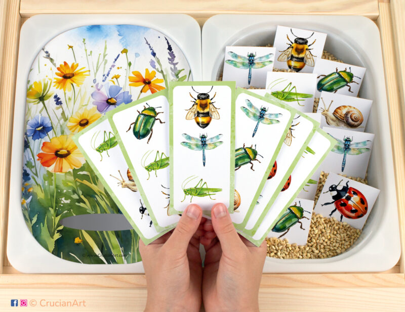 Insects in the Meadow pretend play setup for a matching game. Kids' hands holding task cards displaying grasshopper, snail, ladybug, dragonfly, honeybee, and June beetle. Summer season printables for toddlers.