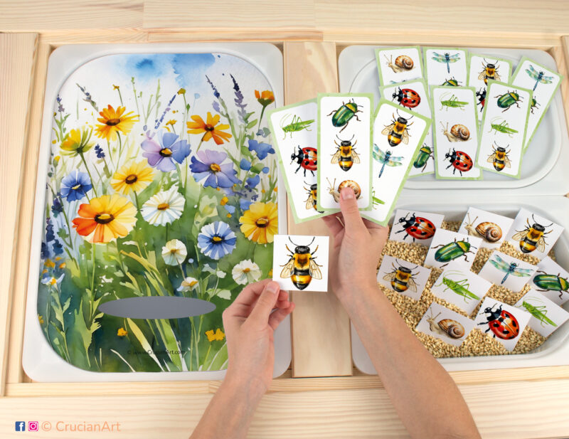 Bugs in the Meadow activity for toddler matching play. Printable educational template for flisat sensory table. Pieces with grasshopper, snail, ladybug, dragonfly, honeybee, and June beetle placed in the Trofast bin.