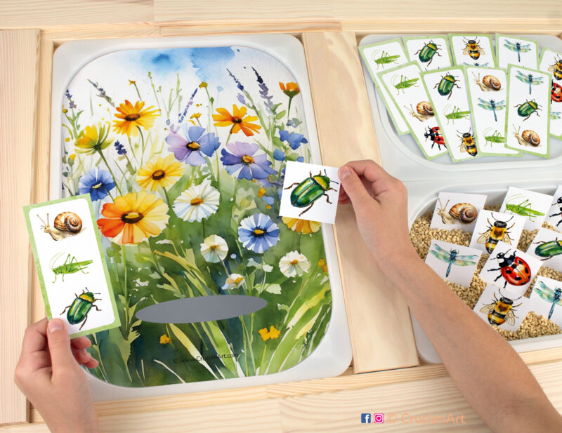 Meadow insects and bugs pretend play: grasshopper, snail, ladybug, dragonfly, honeybee, and June beetle. Printable template for ikea flisat sensory table trofast bins for kids. Classroom educational printables for preschoolers.