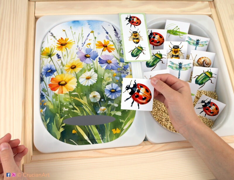 Insects in the Meadow pretend play for toddlers and preschoolers: sorting grasshopper, snail, ladybug, dragonfly, honeybee, and June beetle. Visual discrimination printable learning activity for sensory table bins.